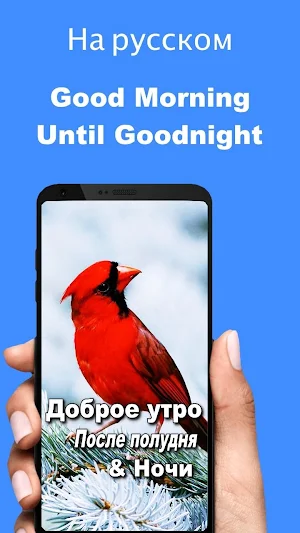 Russian Good Morning Afternoon & Good Night Wishes Screenshot 0