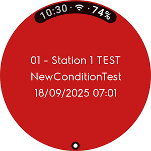 Wearable Notifications Screenshot 3