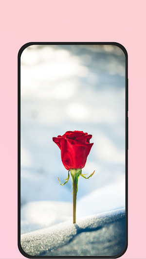 rose images hd Screenshot 2