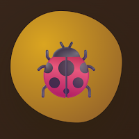 Beetle Wisdom - Soft Bug Quiz