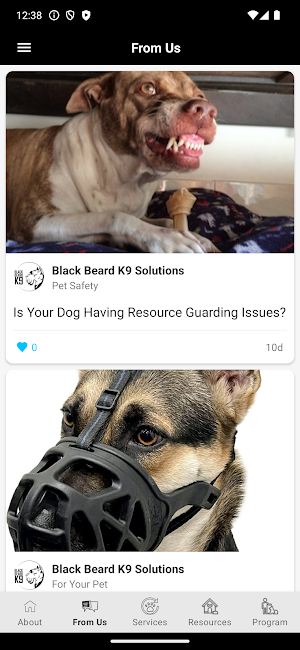 Black Beard K9 Screenshot 2