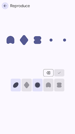 Flash Shape - Visual Memory Screenshot 2