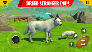Wild Wolf Sim: Animal Fight 3D Screenshot 1