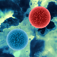 Microscopic