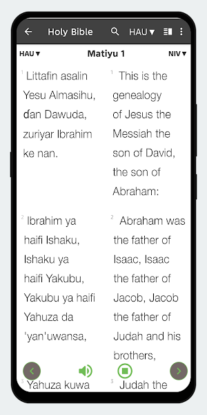 Hausa Bible Offline Screenshot 2