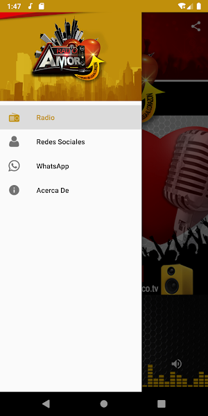 Radio Amor 77.7 Screenshot 2