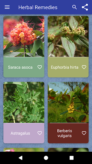 Herbal Remedies Screenshot 0