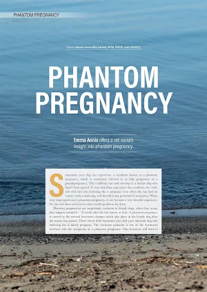 Edition Dog Magazine screenshot 4