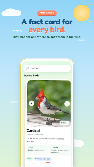 Bird Quiz Offline Screenshot 2