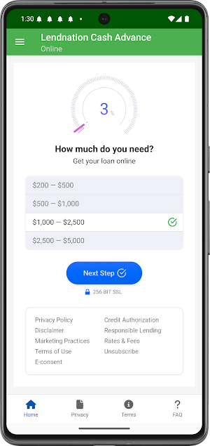 Lendnation Cash Advance Now Screenshot 2