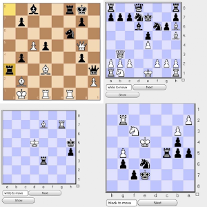 Chess Puzzle Master Screenshot 0