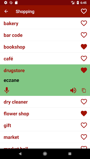 Turkish Conversations Free Offline For Travel Screenshot 1