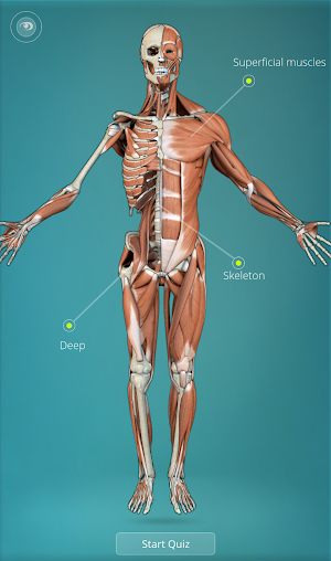 Anatomy Quiz 3D - human screenshot 1