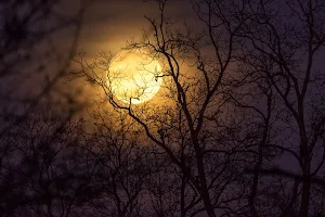 Full Moon Wallpapers Screenshot 1