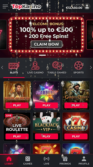 TopKasino Screenshot 1
