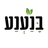 בנענע מגשי אירוח