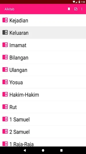 Bible in Indonesian with audio Screenshot 1