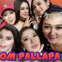 OM Pallapa