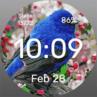Blue Bird - Watch Face