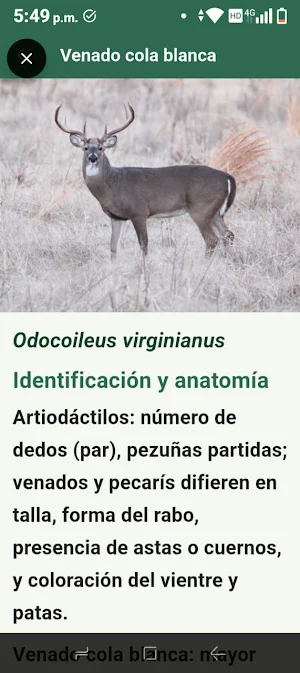 HidroFaunaSilvestre Screenshot 2