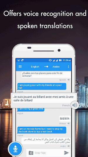 Translator with Speech Pro Screenshot 0