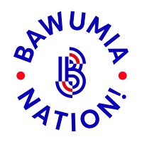 Bawumia Nation