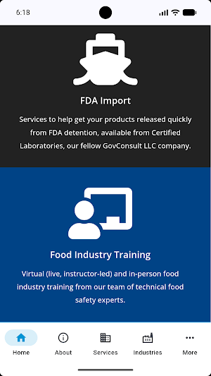 GovConsult LLC Screenshot 1