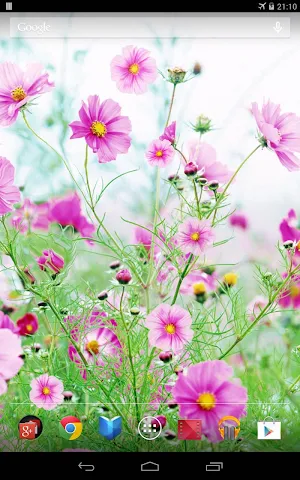 Sweet Flowers Live Wallpaper Screenshot 2