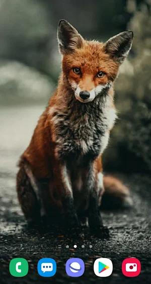Pictures of ferocious animals صور الحيوانات الشرسه Screenshot 1
