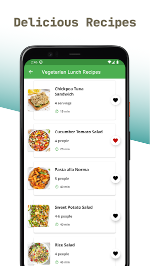 Vegetarian Lunch Recipes App Screenshot 1