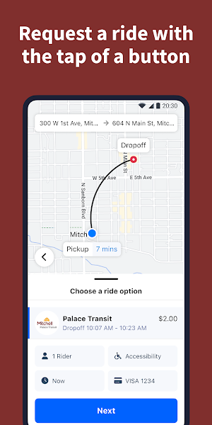 Palace Transit Screenshot 1