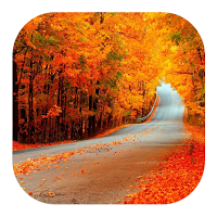 Autumn Wallpapers
