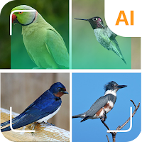 Bird identifier