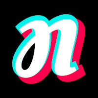 NativeLingo