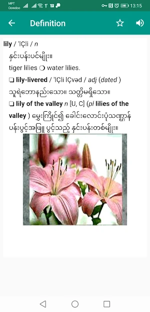 Eng-MM Dictionary Screenshot 3