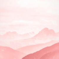 WallHub: Aesthetic Wallpaper