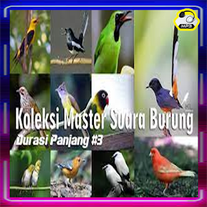 Pemikat Murai Batu Medan Isian Screenshot 1