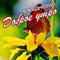 Good Morning Everyday Greetings in Russian