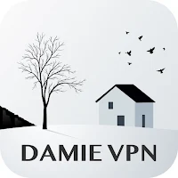 DaMie VPN