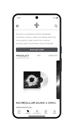 No Regular Music Screenshot 2