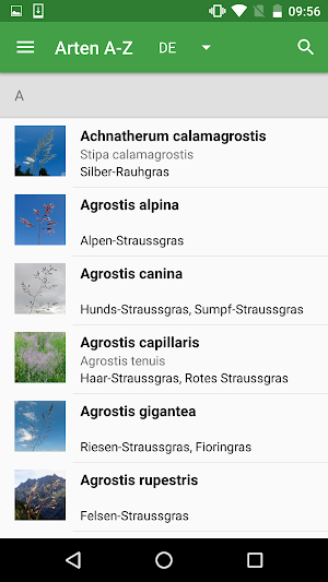 iGräser Screenshot 0