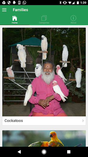 SGS Birds - Shukavana Screenshot 0