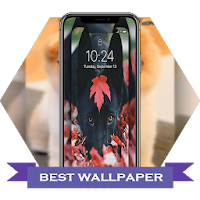 cute Dogs Live Wallpapers 4K