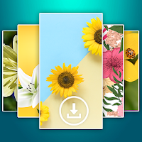 Flower Wallpaper