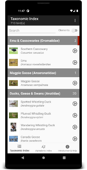 Stewart Australian Bird Calls Screenshot 1