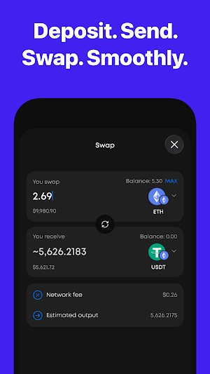 WebWise Pay: Wallet & Card Screenshot 3
