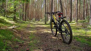 Cycle and bicycles Wallpapers Screenshot 2