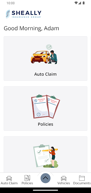 Sheally Insurance Inc Screenshot 1