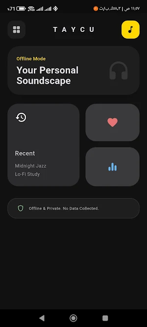 Taycu Music Screenshot 0