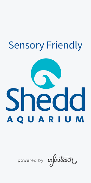 Sensory Friendly Shedd Aquarium Screenshot 0